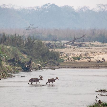 Sanctuary Chitwan National Park Dış mekan fotoğraf