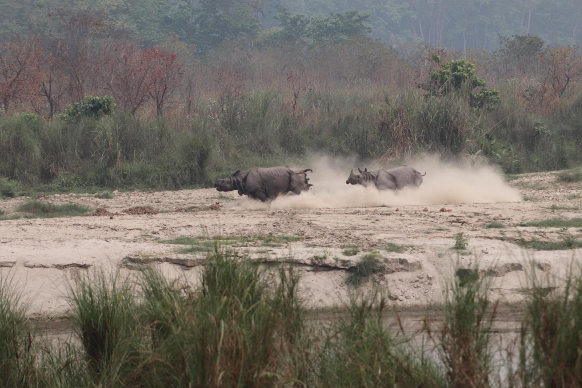 Sanctuary Chitwan National Park Dış mekan fotoğraf